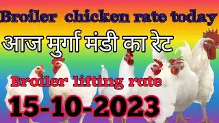 Broiler chicken rate today || आज का मुर्गा मण्डी रेट || Broiler lifting rate|| #poultryfarming