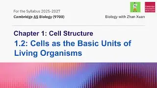 AS Biology 9700 - Chapter 1 Cell Structure | Cells as the Basic Units of Living Organisms