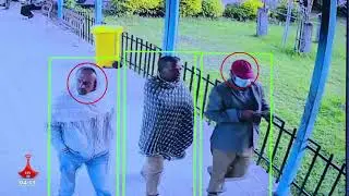 የአለርት ሌቦች በካሜራ እይታ