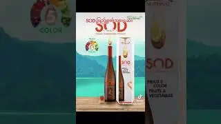 အသီးပေါင်း 125 မျိုးပါဝင် SOD #Successmore Company Products Myanmar