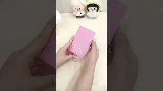 Unboxing Stray Kids SKZOO PLUSH TEDDYBEAR Ver. - SKZ 5'CLOCK #straykids #skz #skzoo #unboxing
