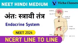 Endocrine System | अंतः स्त्रावी तंत्र | NEET 2024 | Vicha Classes