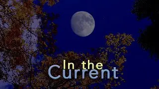 22. Midnight Moon and Sky (above the yellow quaking aspen leaves)