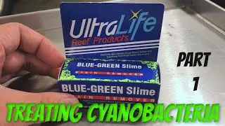 Using UltraLife Cyanobacteria Treatment for Aquarium - Part 1