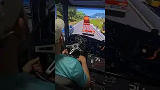 У людей больше нет терпения #gameshorts #videogames #eurotrucksimulator2 #gamer #game #games