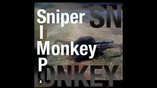 🐵Sniper Monkey🐵