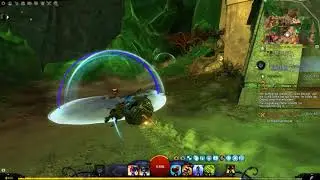 Guild Wars 2 - Gyala Delves Beetle Race Gold