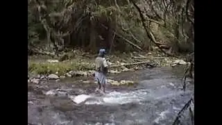 North fork Tongue river Big Horn Mountains fly fishing