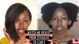 Watch My Hair Revert From Straight to Curly Natural Hair  | Joan Miano