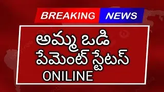 అమ్మఒడి పేమెంట్ స్టేటస్ | Amma Vodi Payment Status Online | AmmaVodi Status online |