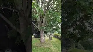 The Hill, Langport, and All Saints Church,  18th July 2023