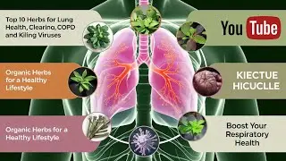 Top 10 Herbs for Lung Health | Natural Remedies for Clear Breathing