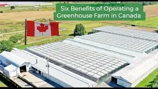 The Six Benefits of Operating a Greenhouse Farm in Canada