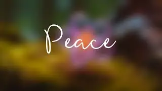 Peace | Clean Lofi Piano for Focus & Focused work, short session