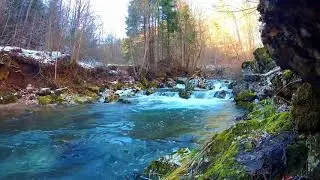 Успокаивающий Ледяной Река в в Лес. Расслабляющий вода Звуки. (10 часов). Белый шум за спать.