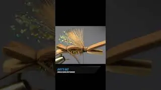 Fly Fisherman Fast-Forward: Tying the Amy's Ant Fly