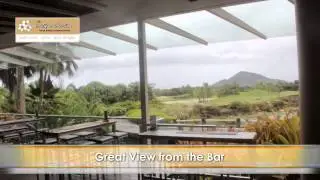 Paradise Palms Bar
