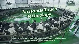 Greenfields Fresh Milk - Our Farm, Your Glass