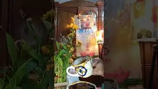 হ্যাঁ এভাবে সম্ভব 🧿🛡@MUHURTERDAKEAMISANGITA789 #divine 💕🛡🧿#tarot #viral #love #111 