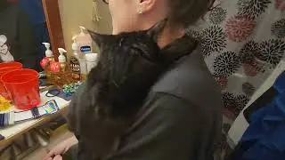 Washing My Cats Feet With My Mom //Quite Funny// (2/3)