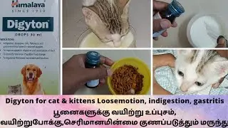 Digyton for cat & kitten Loosemotion indigestion பூனைக்கு செரிமானமின்மை வயிற்றுபோக்கு நீங்க டைஜிடான்