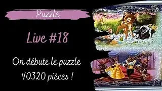 Puzzle ~ Live #18 ~ On débute le 40320 pièces !