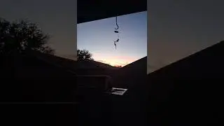 Live Sunset