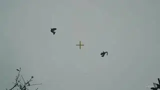 Shotcam video fra duejagt