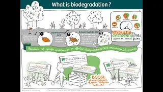 What is biodegradability ?