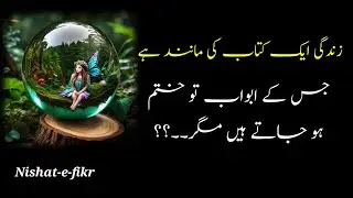 Best life changing quotes in urdu | precious quotes about life | Nishat-e-fikr | Hope in Allah. 