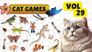 Cat Game Lizard Crawl and Insect Jumping Fun for Curious Kitties | Vol 29 🦎🦋