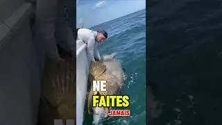 Le M&eacute;rou Goliath ! 🦈 #merou #poisson #fish #mer #ocean #animaux