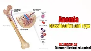 Anemia (Anaemia) Type and Classification #blood #haemoglobin #thalassemia #blooddisorders #platelets