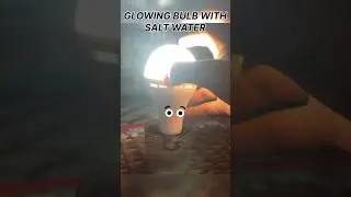 Simple science experiment / Glowing bulb with salt water 😱 #indian #experiment
