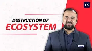 Destruction of ecosystem | Biology | Ecosystem | Pollution