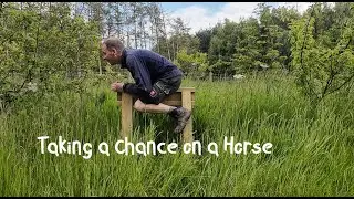 Simple Saw Horse in 5 Minutes, A How To Guide.