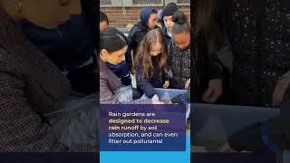 DEEDS  - 1st Grade Science - Reducing Flooding in the Bronx