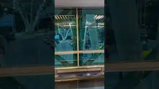 Cairo International Airport