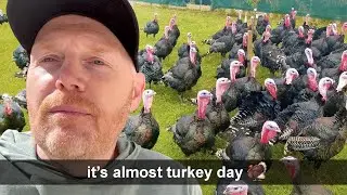 Bill Burr's Thanksgiving Advice