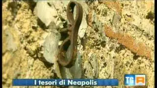 I Tesori di Napoli