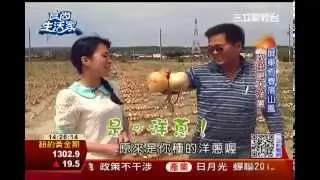 食尚生活家：洋蔥新行銷 主婦自創鹹甜洋蔥酥 | 食尚生活家 | 三立財經台CH88