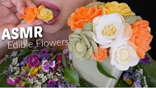 Edible Flowers Coconut Jelly *Can't Believe it's Jelly* NO Talking Relaxing Eating Sounds | N.E ASMR