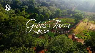 Welcome to Gibb's Farm&mdash;Tanzania