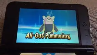 Fightium Z All Out Pummeling