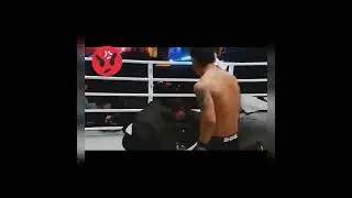 best match referee vs fighter