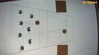 Distributed Control within Virtual Tube for Robotic Swarms Subject to Speed Constraints