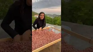 local cocoa secrets of Mexican chocolate  #nomadlife #mexico #cocoa #travellife #nomad