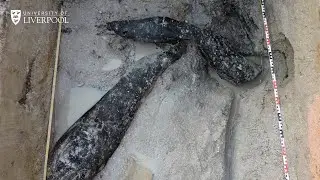 Professor Larry Barham on discovering the world&rsquo;s oldest wooden structure