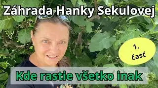 Záhrada, kde rastie všetko inak – Prírodná jedlá liečivá záhrada Hanky Sekulovej (1. časť)