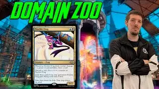 🐸 Frog Domain Zoo | Modern